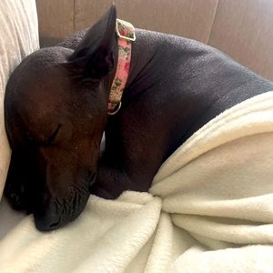 Meet your Posher, Tess